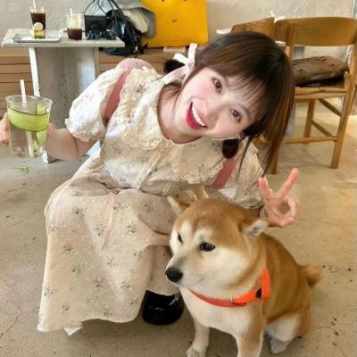 茉莉花